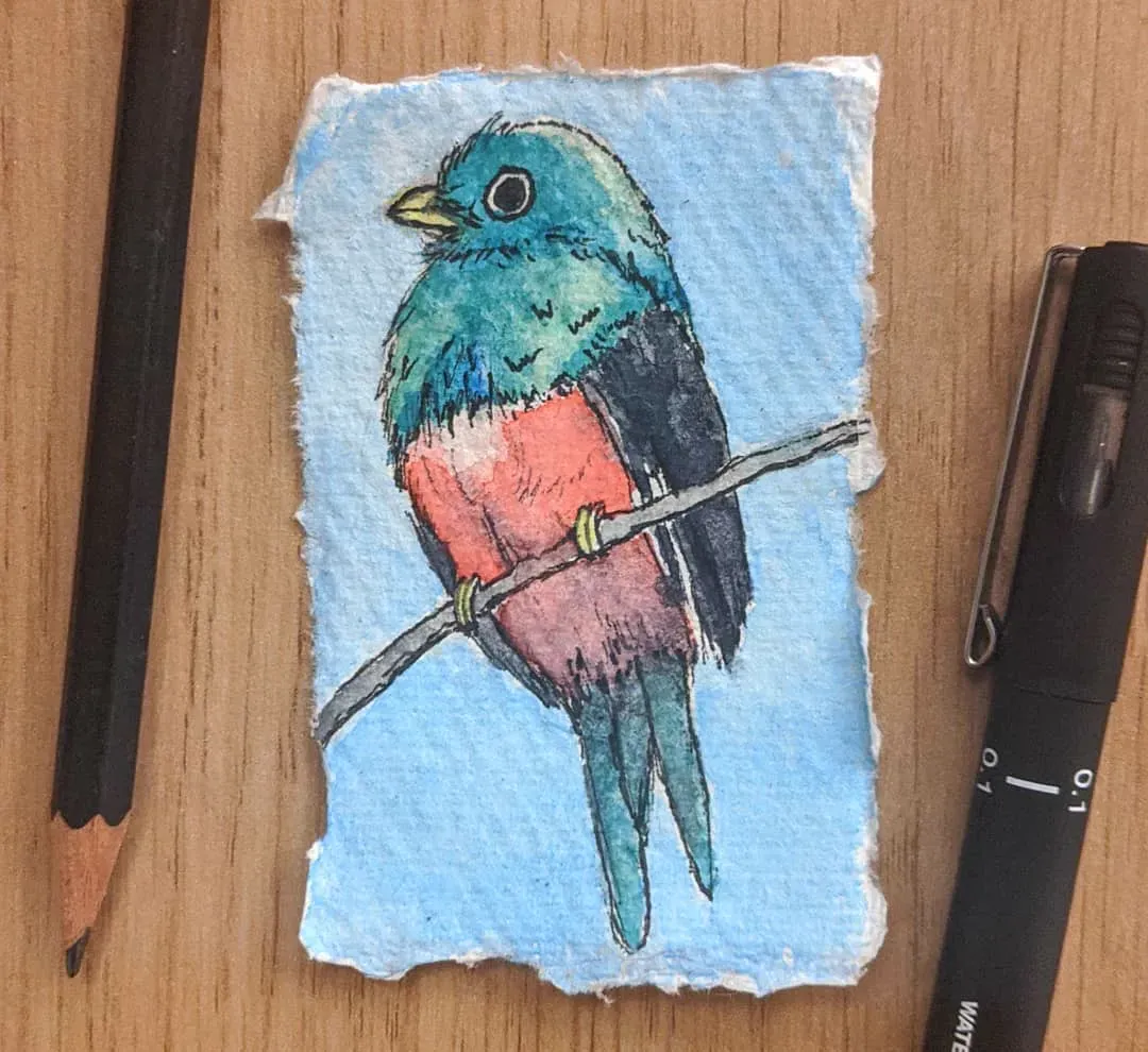Quetzal