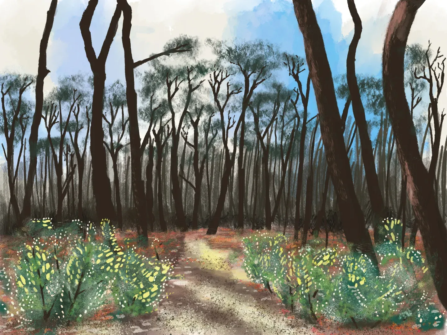 Veluwe Trees